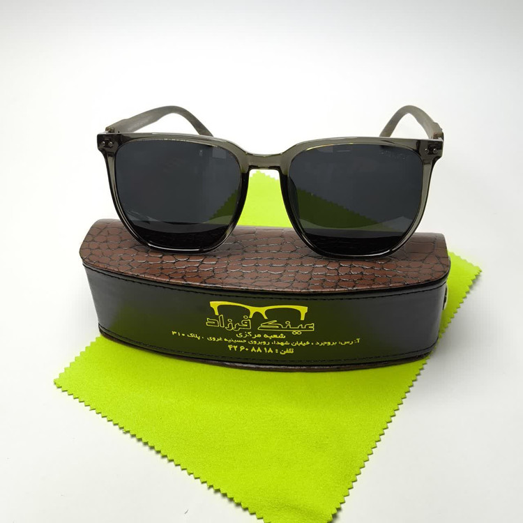 دودی تیره 2519